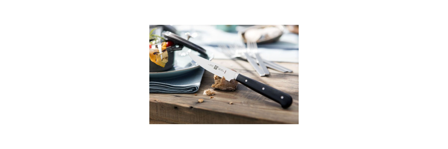 Zwilling SteakSets