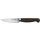 Zwilling Twin 1731 Spick- und Garniermesser 10 cm